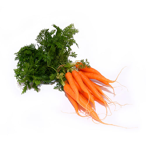 Packer Bunched Baby Carrots