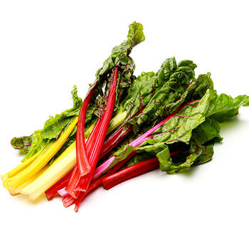 Wholesale Packer Bunched Rainbow Swiss Chard 12count-1ct Case Bulk