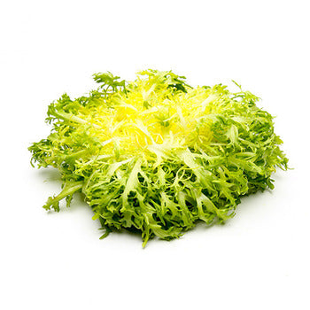 Wholesale Packer Frisee Lettuce 12count-1ct Case Bulk