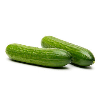 Wholesale Packer Mini Persian Cucumbers 20lb-1ct Case Bulk