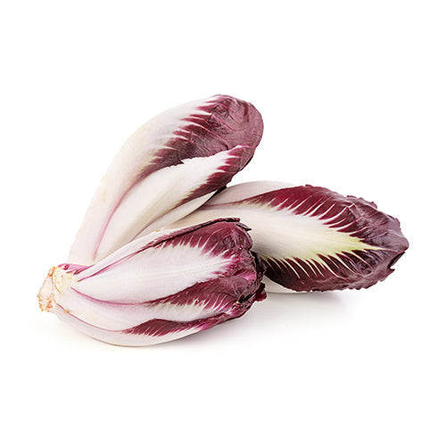 Wholesale Packer Red Endives 8lb-1ct Case Bulk