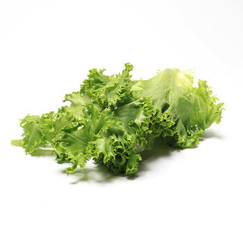 Packer Burger Leaf Lettuce 10lb