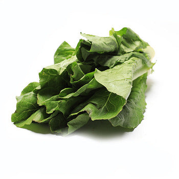 Packer Romaine Lettuce 24count