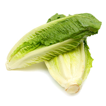 Packer Romaine Hearts Lettuce 3count