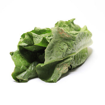 Wholesale Packer Jumbo Romaine Hearts 48count-1ct Case Bulk