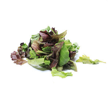 Packer Mesclun (Spring Mix) Greens 3lb