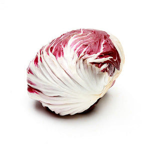 Wholesale Packer Radicchio 9-12count-1ct Case Bulk