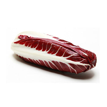 Wholesale Packer Trevisano Radicchio 12count-1ct Case Bulk