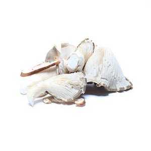 Wholesale Packer Wild Sliced Blend Mushrooms 5lb-1ct Case Bulk