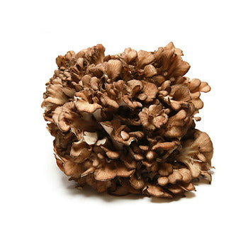 Wholesale Packer Brown Maitake Mushrooms 3lb-1ct Case Bulk