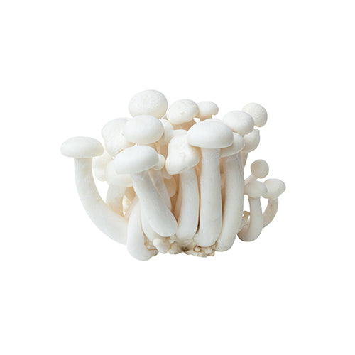 Packer Organic White Shimeji Mushrooms 3.5oz