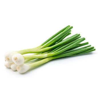 Packer Fresh Onion Spring Wild White 1lb