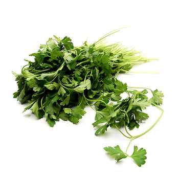 Wholesale Packer Flat (Italian) Parsley 60count-1ct Case Bulk