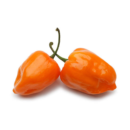 Packer Orange Habenaro Peppers 8lb