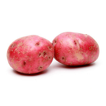 Packer Red B Potatoes 50lb