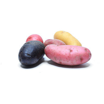 Packer Rainbow Fingerling Potatoes 20lb