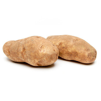 Wholesale Packer Idaho Potatoes 40 Count Case 40count-1ct Case Bulk