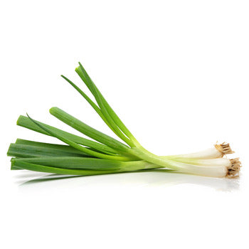 Wholesale Packer Green Scallions (Onions) 12count-4ct Case Bulk