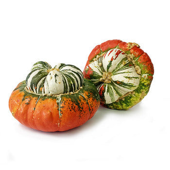 Packer Turban Squash