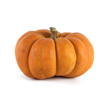 Packer Mini Orange Pumpkins Local