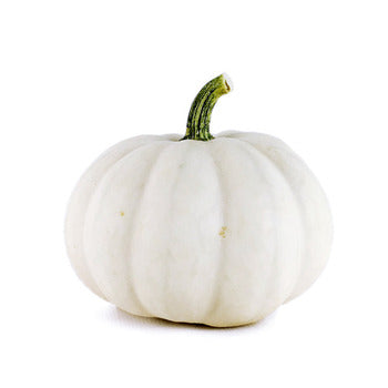 Packer Mini White Pumpkins Local