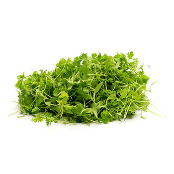 Packer Parlsey Micro Greens 3oz