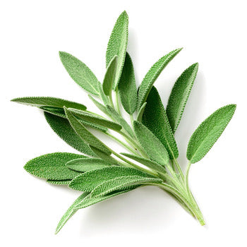 Packer Sage 4oz