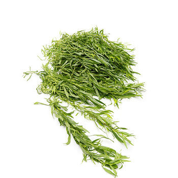 Wholesale Packer Tarragon 4oz-1ct Case Bulk