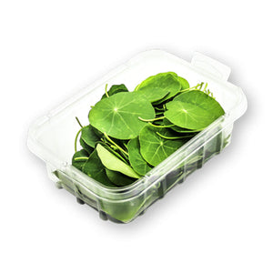 Wholesale Flavour Fields Nasturtium Leaves 50count-1ct Case Bulk