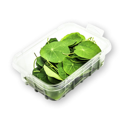 Wholesale Flavour Fields Nasturtium Leaves 50count-1ct Case Bulk