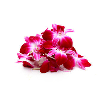 Wholesale Packer Pink Orchid Blossoms 50count-1ct Case Bulk