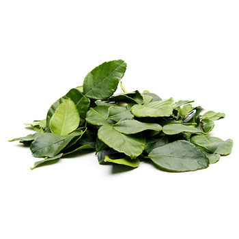 Wholesale Packer Kaffir Lime Leaves Herbs 4oz-1ct Case Bulk