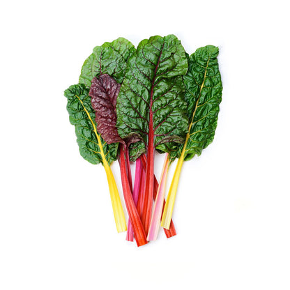 Wholesale BoxNCase Bright Lights Rainbow Swiss Chard- Bulk