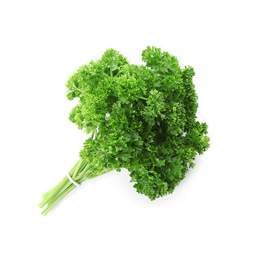 Packer Curly Parsley