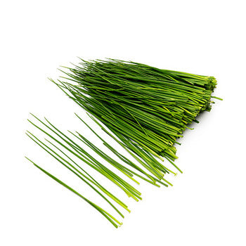 Packer Chives 1lb