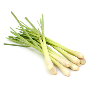 Packer Fresh Lemongrass 1lb