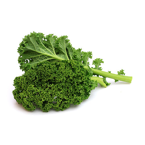 Wholesale Packer Organic Kale- Bulk