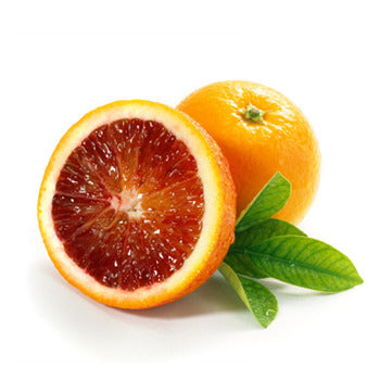 Wholesale Packer Moro Blood Oranges- Bulk