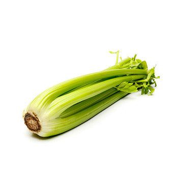 Wholesale Packer Celery- Bulk