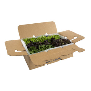 Wholesale Tanimura & Antle Artisan Mini Head Lettuce-8 LB Bulk