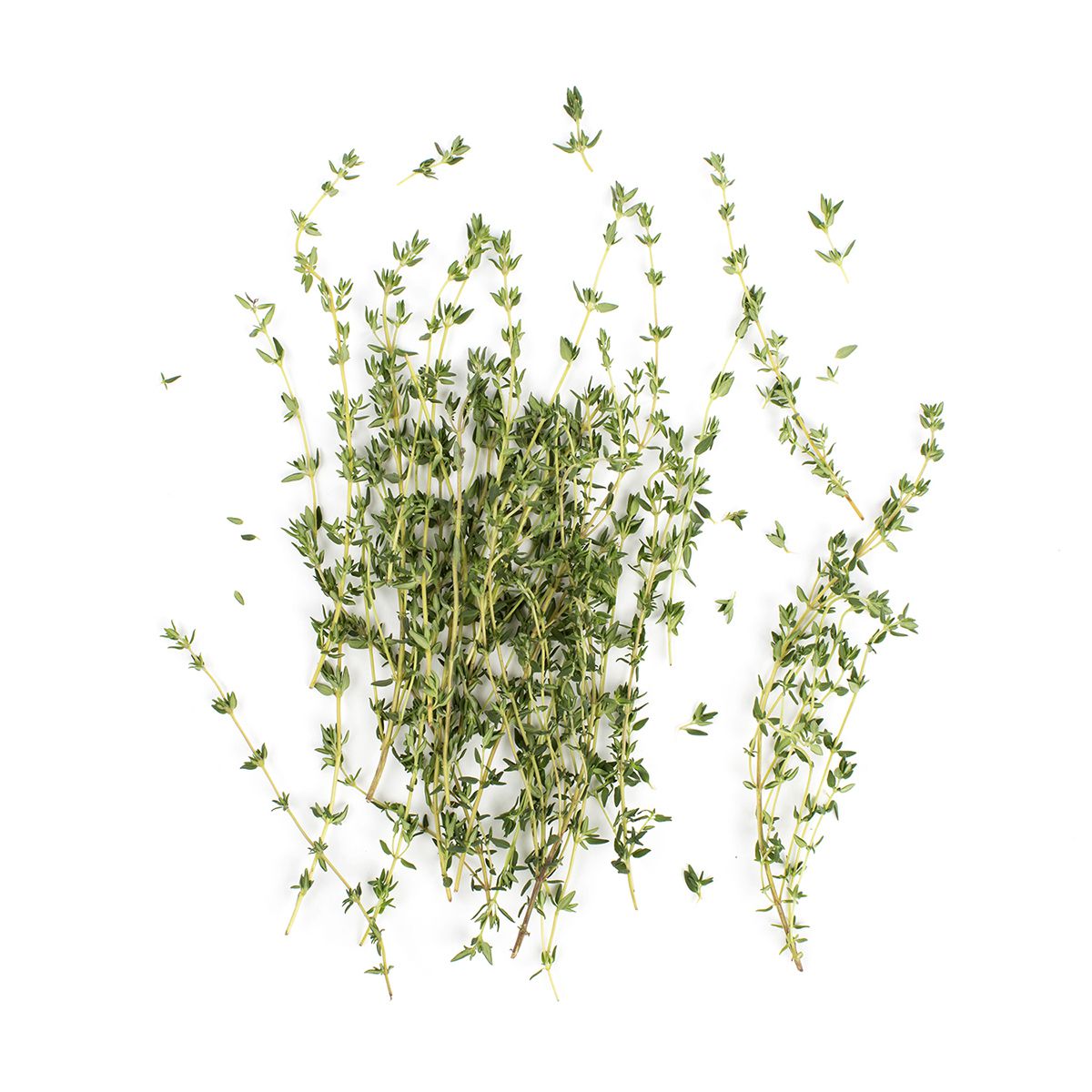 Wholesale BoxNCase Lemon Thyme-4 OZ Bulk