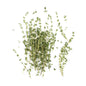 Wholesale BoxNCase Lemon Thyme-4 OZ Bulk