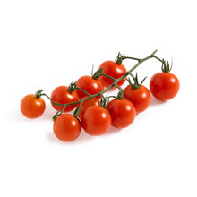 Wholesale Sunset Honey Bombs Cherry Tomatoes on the Vine 12 OZ- Bulk