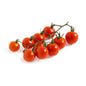 Wholesale Sunset Honey Bombs Cherry Tomatoes on the Vine 12 OZ- Bulk
