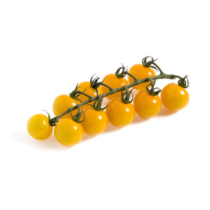 Wholesale Sunset Lolli Bombs Cherry Tomatoes on the Vine 12 OZ-8ct Case Bulk