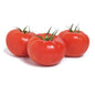 Wholesale Backyard Farms Beefsteak Tomatoes 12 lb- Bulk