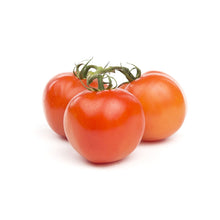 Wholesale BoxNCase Tomatoes on the Vine-11 LB Bulk