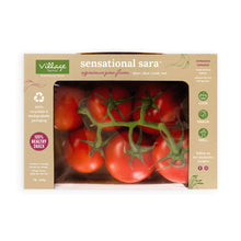 Wholesale Village Farms Sensational Sara Tomatoes 1 LB- Bulk