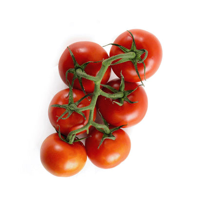 Wholesale Village Farms Sensational Sara Tomatoes 1 LB- Bulk