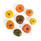 Wholesale BoxNCase Heirloom Tomatoes- Bulk